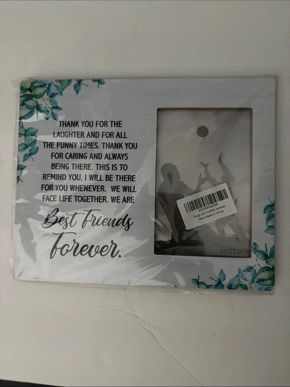 Love Best Friends Forever Frame — Teal Leaf Accent